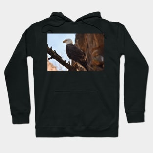 Bald Eagle Hoodie